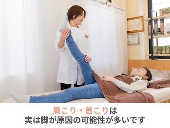整体えびす丸 三軒茶屋店/骨盤矯正で歪みを整える