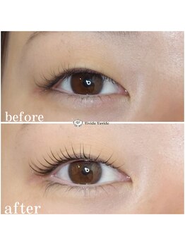 ビビデバビデ(Vivide Vavide)/ラッシュリフト・ロッド豊富です