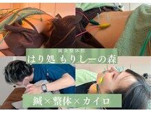 鍼灸整体院 はり処もりしーの森
