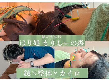 鍼灸整体院 はり処もりしーの森