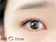 エストブロウ 麻布十番店(est brow)の写真/話題のまつ毛パーマとフラットラッシュの同時施術でぱっちりとした目元に*【パリエク¥14600】[麻布十番]