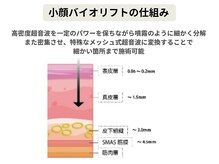 ルディラ 銀座店/小顔バイオリフト