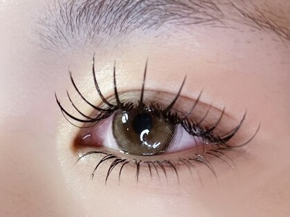 チェリッシュ アンド ジェニ(CHERISH＆JENNI)の写真