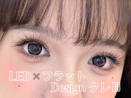 AMKの写真