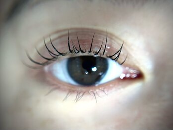 リヒ(LIHI)/まつ毛パーマ【LIHI】