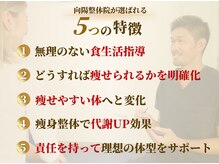 向陽整体院の雰囲気（！）