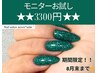 【モニターお試し★ワンカラー/マグネット/フラッシュ/ラメ★全部OK!3300円】