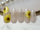 【HAND】シンプル定額プラン