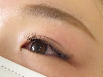 ラ シュシュ(la chou_chou)/ボリュームラッシュ100束