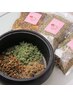 【疲労感から脱出】ハーブ＆無農薬よもぎ蒸し40分+ボディトリートメント40分