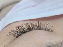 ブロスプラスアイ(BROS＋e)/ブラウン系グラデーション