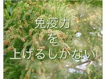 シストワ(sistoi)/★ツライ花粉対策には免疫力★