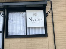 ネリネ(Nerine)/外観