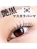 韓国で大人気！【マスカラパーマ】アイシャンプー付き！初回￥6,600→￥5,980