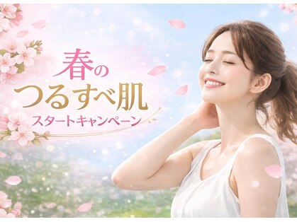 オワゾーブルー(Oiseaubleu)の写真