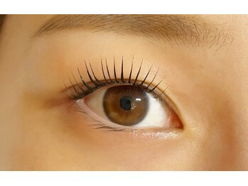 アイラッシュ ベイビーステップ(Eyelash Baby step)/パリジェンヌラッシュリフト