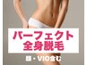【女性】パ-フェクト全身脱毛(顔・VIO含む) 通常19800円