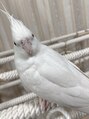 ノーバディ(Nobody) 推しのインコです☆