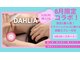 ダリア(DAHLIA)の写真
