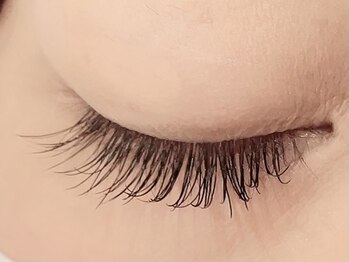 カラン 焼津店(CALIN)/フラットラッシュ140本