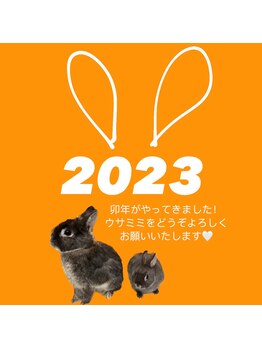 ネイル ウサミミ(Nail UsaMimi)/お知らせ