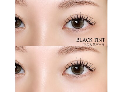 アールラッシュ(R-LASH)の写真