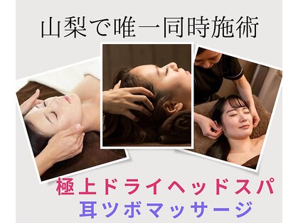 さくらの写真
