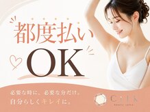 シルク(Cilk)