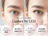 モチNO.1”【圧倒的な持続力】LEDフラットラッシュ☆１００本