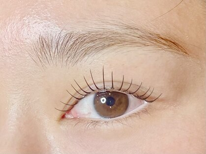 カノア(Kanoa)の写真