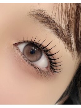 ハリス(HARIS)/シェルロッドデザイン