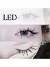 【高持続LED ボリュームエクステ 】 ダブルフラットラッシュ 80束(160本)まで