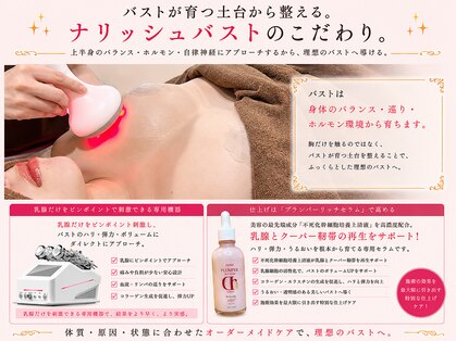 ナリッシュバスト(Nouriche Bust)の写真