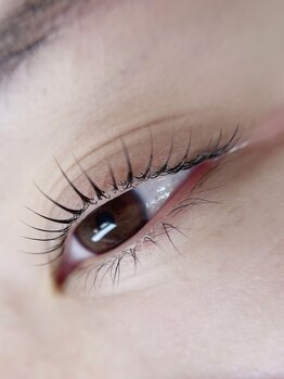 アイサプリメント(eye supplement)/超美まつ毛!