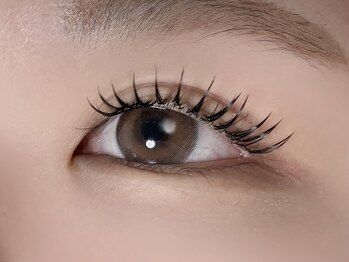 メリ(meri.)/バインドロック100束