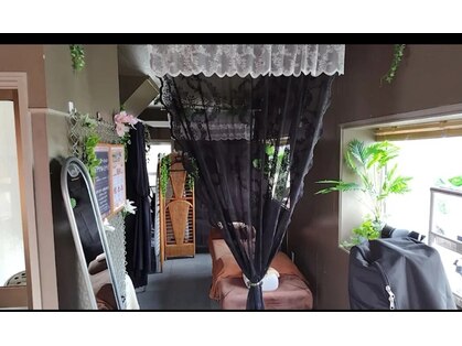 ミナクルミナミの写真