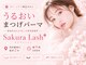 サクララッシュ(Sakura Lash)の写真