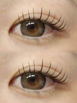 フルール(FLEUR)/フラットラッシュ120本