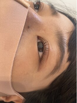 ジョリー(Jolie)/