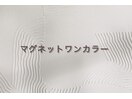 マグネットワンカラー 