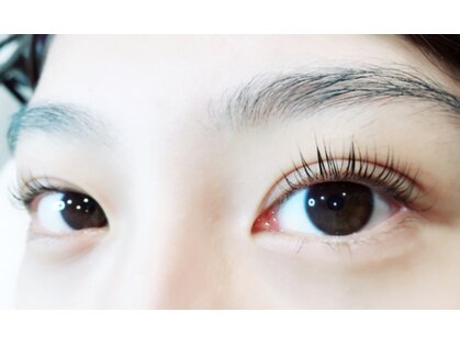 コトコト(coto coto)の写真