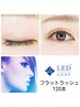 【平日300円割引】　　【LED】フラット 120本 　オフ無料