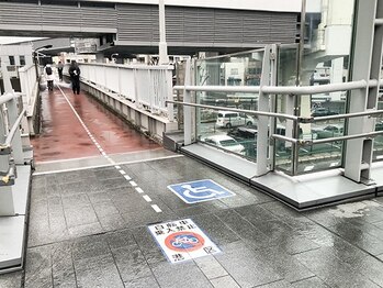 ビーハリット(B-HariT)/２