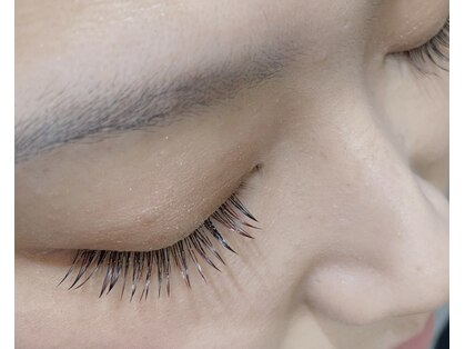 ニコット(Nicotto)の写真