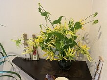 アフェットレガーレ 京都三条店(affetto legare)/今回のお花はグロリオサです