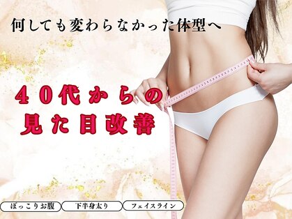 パピヨン(Papillon)の写真