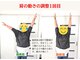サウレ(Saule)の写真