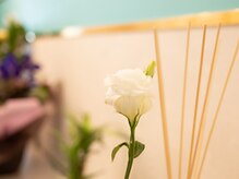 リコ フェリーチェ(Rico Feliche)/Rico Feliche　リコフェリーチェ