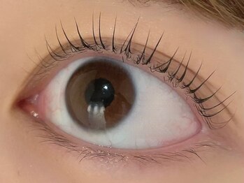 カラン 焼津店(CALIN)/シンプリフィ