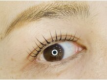 プルメリア(Plumeria)/